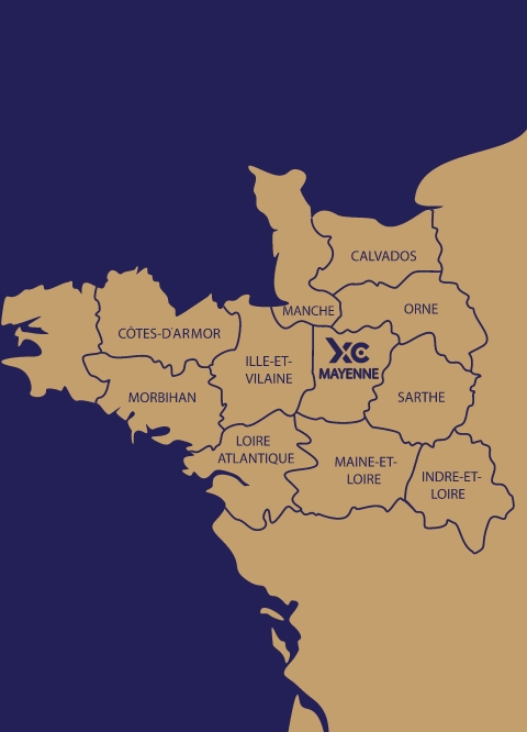 carte intervention xylo conseils